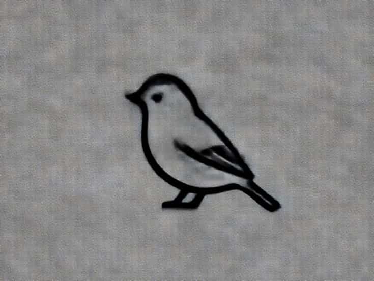 Nelson'S Sparrow Criminal Minds