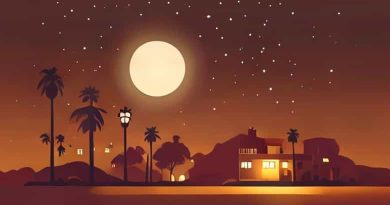 On A Warm San Franciscan Night