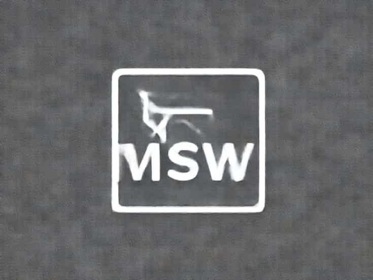 Online Msw Programs California