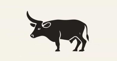 Oxtail What Does It Taste Like