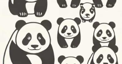 Pandas Unique Values In Column