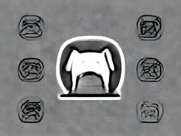 Places To Cremate Pets Near Me