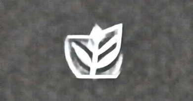 Poti Conduce Cu Foaia De Admis