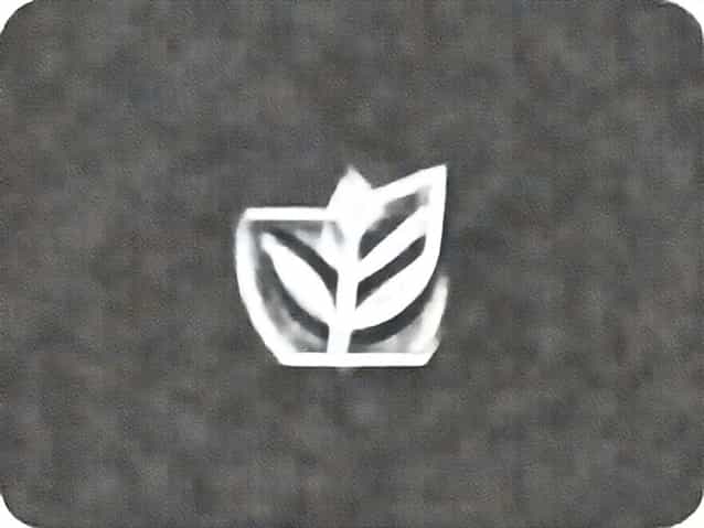 Poti Conduce Cu Foaia De Admis