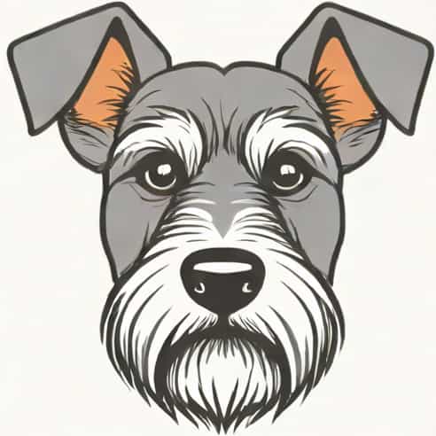 Quanto Tempo Vive Um Schnauzer