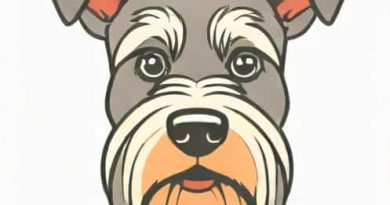 Quantos Anos Vive Um Schnauzer