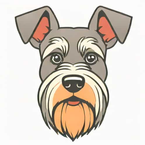 Quantos Anos Vive Um Schnauzer