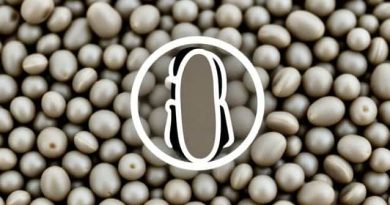 Queen Carlin Peas Where To Buy