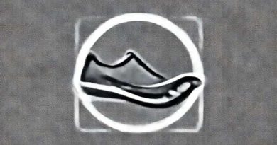 Review Saucony Endorphin Elite