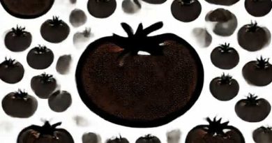 Rotten Tomatoes The Highwaymen