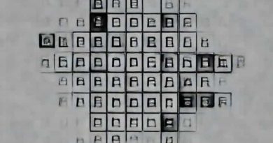 Shipshape Order Crossword Clue