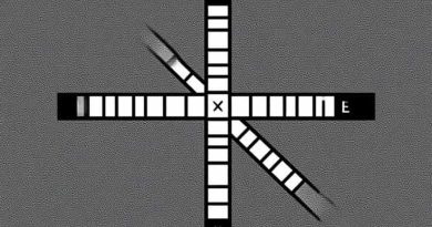 Somewhat Pricey Crossword Clue