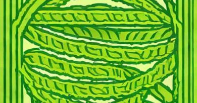 Spirogyra Is Saprophyte Or Not