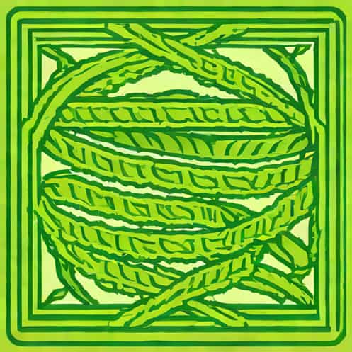 Spirogyra Is Saprophyte Or Not