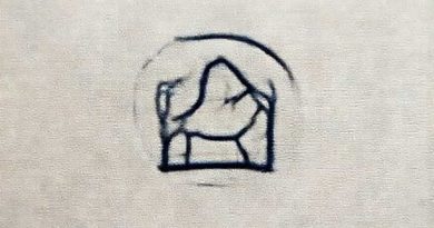 Stamped Crewel Embroidery Kits