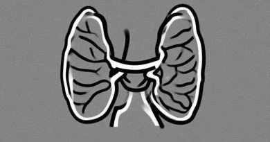 Structure Of Parathyroid Gland