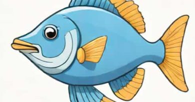 Super Blue Emperor Kerri Tetra