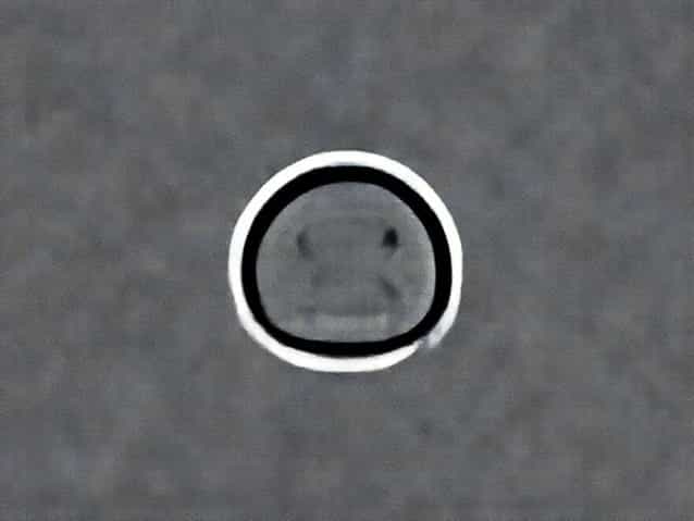 The Shapeless Unease Goodreads