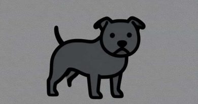 The Staffordshire Bull Terrier