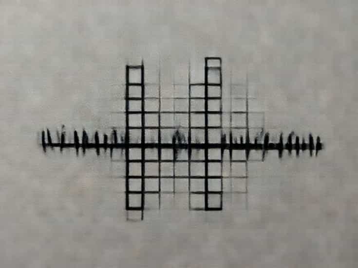 Tiny Undulation Crossword Clue