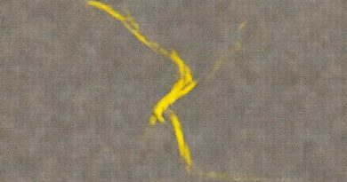 Undertale Yellow Neutral Route