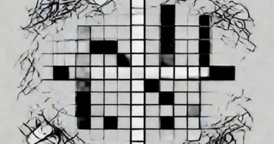 Untidy Shambles Crossword Clue