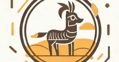 Uyini Umdlalo Incazelo In Zulu