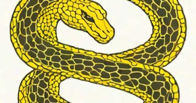 Variable Declaration In Python