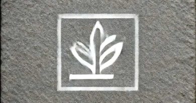 Vermont Stone And Horticulture