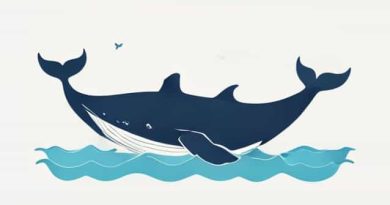 Virginia Beach Whale Washed Up