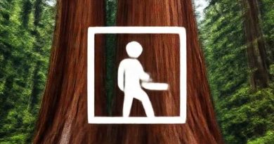 Visiting Sequoia National Park