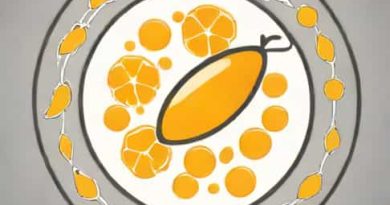 Vitamin D Is A Hormone Justify