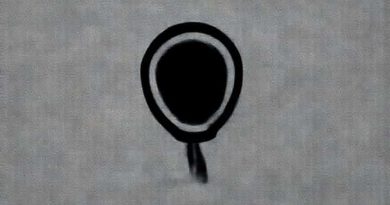 Voice To Parliament Referendum