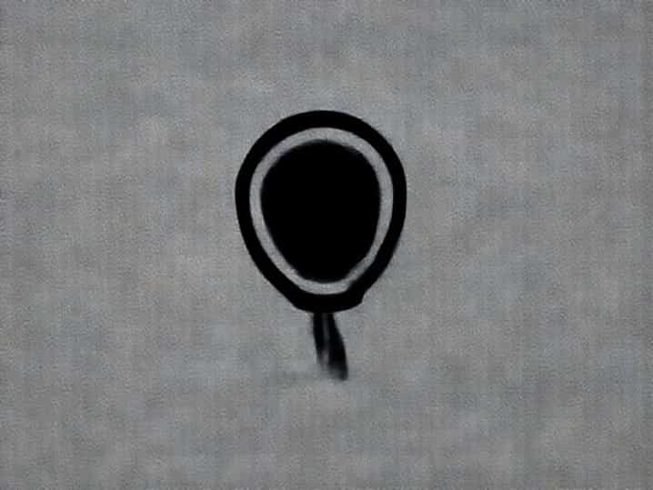 Voice To Parliament Referendum