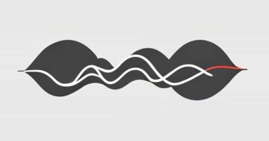 What Do You Mean By Sinusoidal