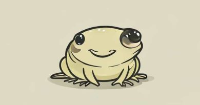 What Does A Pollywog Look Like