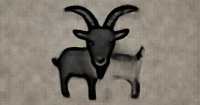 What Is A Hornless Goat Called