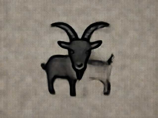 What Is A Hornless Goat Called