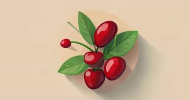 What Is A Natural Blood Thinner