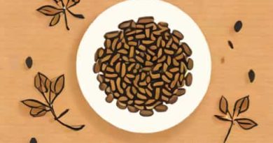 What Is Carom Seeds In English
