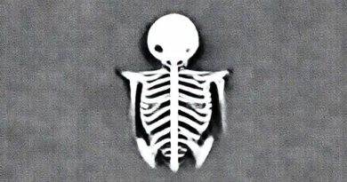 What Is Cartilaginous Skeleton