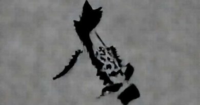 What Is Philippine Archipelago