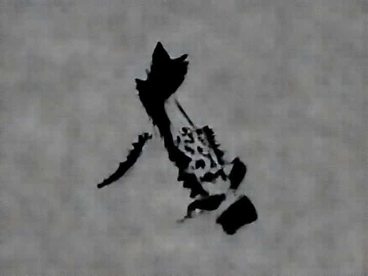 What Is Philippine Archipelago