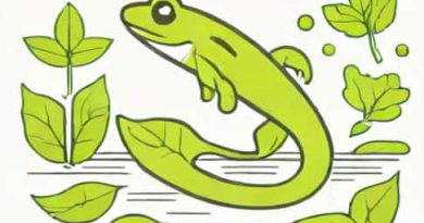 What Is The Meaning Of Tadpole