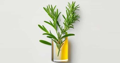 Xhc Rosemary And Mint Hair Oil