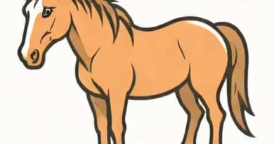 Youtube Geraldine Brooks Horse