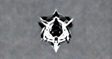 Zelda Phantom Hourglass Switch