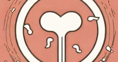 Zygote Stuck In Fallopian Tube