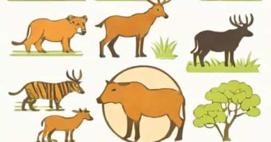 Average Salary Of A Wildlife Conservationist
