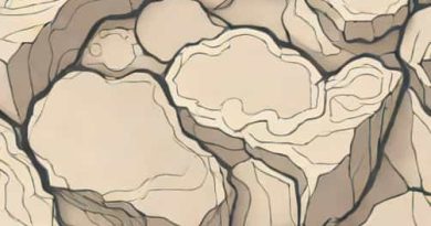 Before Metamorphism Marble Was What Type Of Rock